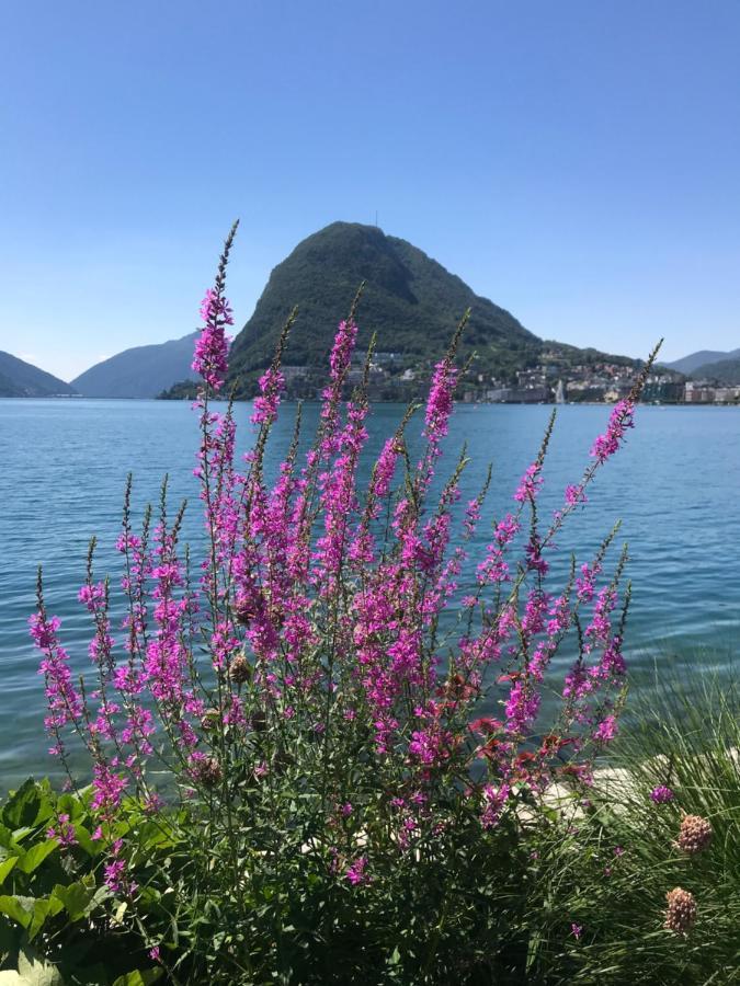 Connie S Home Free Parking Lugano Luaran gambar